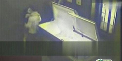 nhung cau chuyen ky la ve co quan tai hinh anh 8