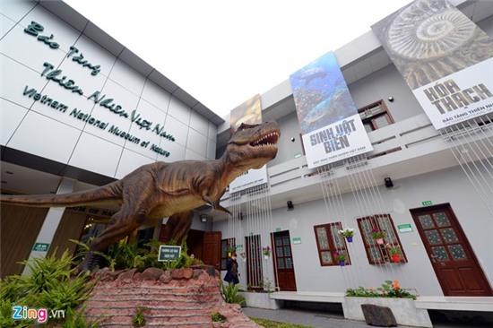 Bên trong Bảo tàng Thiên nhiên đầu tiên tại Việt Nam
