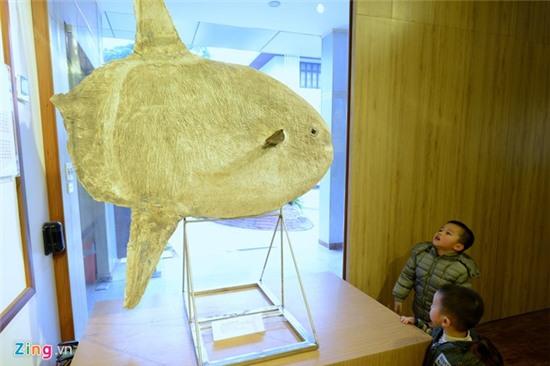 Bên trong Bảo tàng Thiên nhiên đầu tiên tại Việt Nam