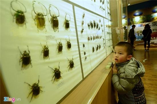 Bên trong Bảo tàng Thiên nhiên đầu tiên tại Việt Nam