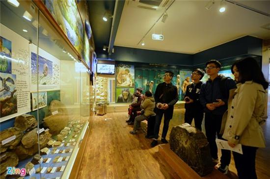 Bên trong Bảo tàng Thiên nhiên đầu tiên tại Việt Nam