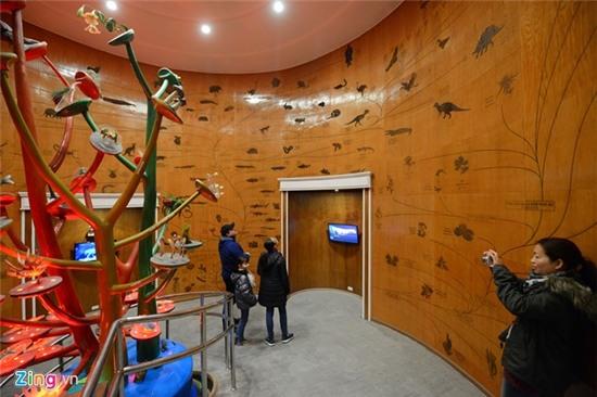 Bên trong Bảo tàng Thiên nhiên đầu tiên tại Việt Nam