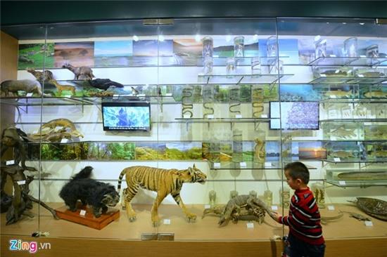 Bên trong Bảo tàng Thiên nhiên đầu tiên tại Việt Nam