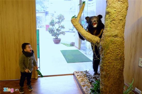 Bên trong Bảo tàng Thiên nhiên đầu tiên tại Việt Nam