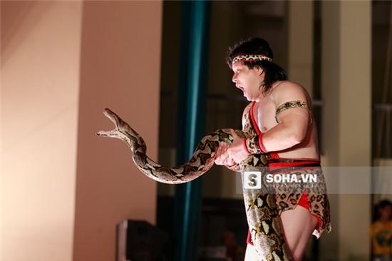 Trăn là 1 trong số những nghệ sĩ không biết nói quen thuộc trên sân khấu xiếc.