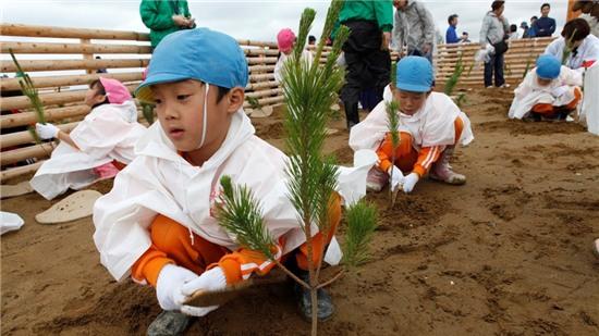 Cuộc sống hồi sinh 5 năm sau động đất, sóng thần ở Nhật