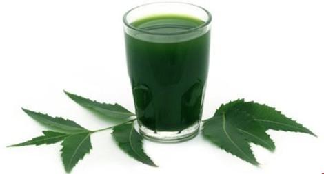 2. Lá neem: Uống nước lá neem vào đầu buổi sáng giúp bạn điều hòa được lượng đường trong máu.