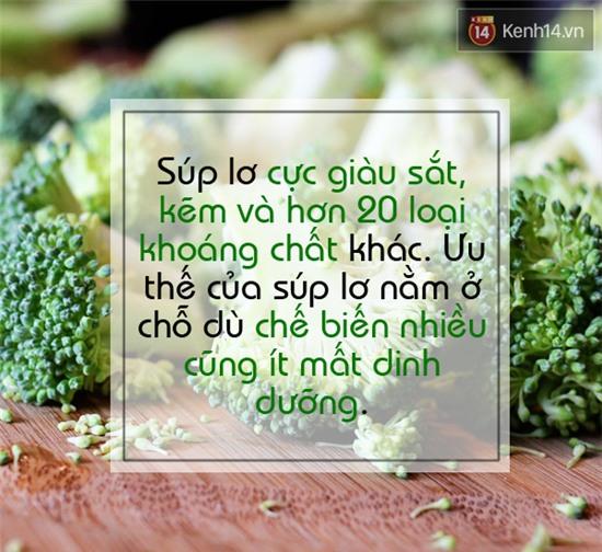 Xếp hạng 5 loại rau nhiều dưỡng chất không thể bỏ qua - Ảnh 4.