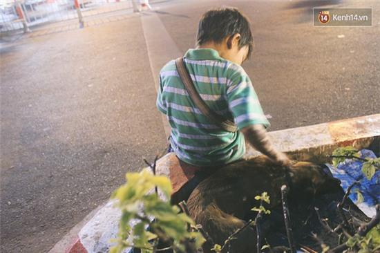 Cậu bé bán vé số và chú chó què: Milu là em út của em, em thương nó lắm! - Ảnh 10.