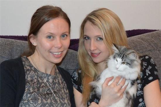 Chơi với mèo - việc nhẹ mỗi tháng kiếm gần 90 triệu đồng - Ảnh 2.