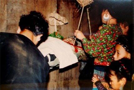 rung ron va kinh hai hu tuc mai tang 