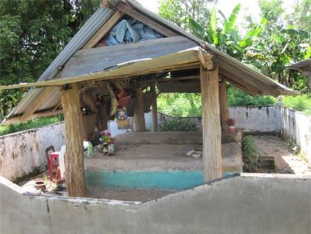 rung ron va kinh hai hu tuc mai tang 