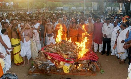 rung ron va kinh hai hu tuc mai tang 