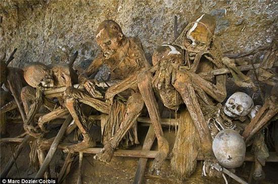 rung ron va kinh hai hu tuc mai tang 