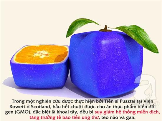 thực phẩm gây ung thư