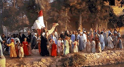 o noi nguoi lon chi muon con chau lay nguoi trong ho hinh anh 2