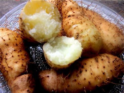 đốt cháy mỡ thừa