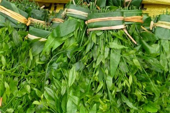 8-loai-rau-xua-khong-ai-an-gio-thanh-dac-san-1