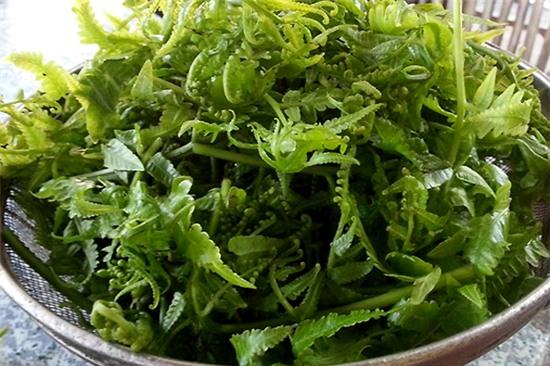 8-loai-rau-xua-khong-ai-an-gio-thanh-dac-san-2