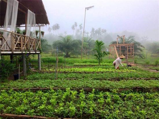 Ngôi nhà giữa vườn rau này đang được cư dân mạng Việt share điên đảo! - Ảnh 16.