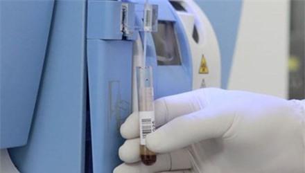 bi hài, câu chuyện, xét nghiệm, ADN