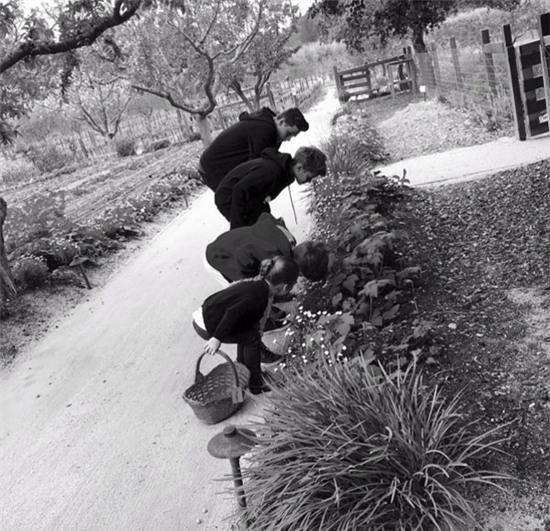 becks-khen-vic-la-nguoi-me-tuyet-voi