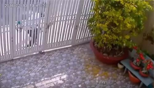 Hy hữu: Tên trộm cạy khóa cổng bị cửa đè gãy chân ở Sài Gòn - Ảnh 2.