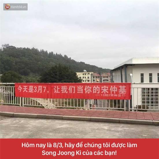 Những khẩu hiệu chào mừng ngày 7/3 có tâm nhất của các nam sinh Trung Quốc - Ảnh 1.