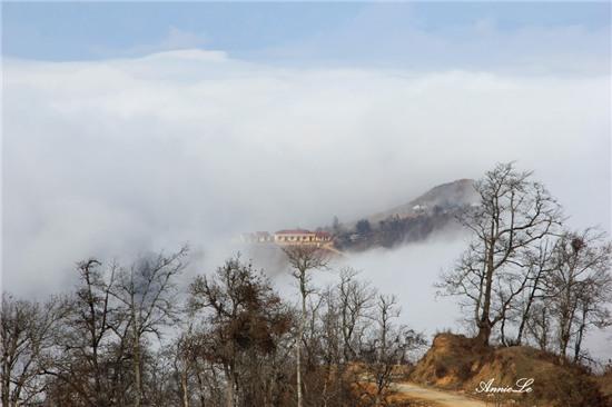 Y Tý mùa bồng bềnh mây trôi