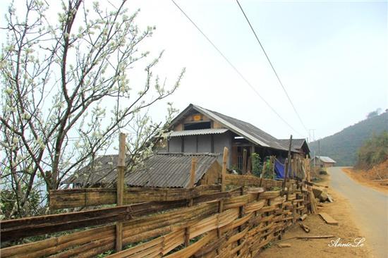 Y Tý mùa bồng bềnh mây trôi