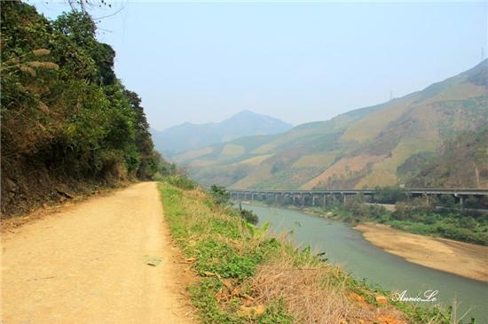 Y Tý mùa bồng bềnh mây trôi