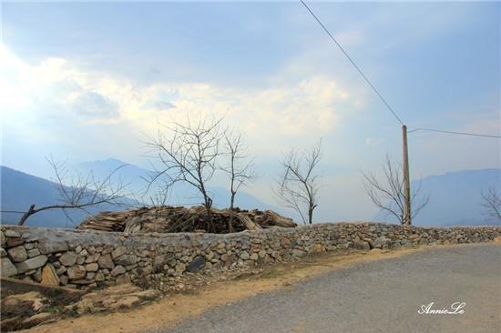 Y Tý mùa bồng bềnh mây trôi