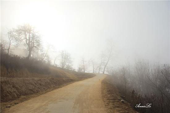 Y Tý mùa bồng bềnh mây trôi