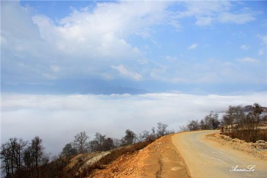 Y Tý mùa bồng bềnh mây trôi