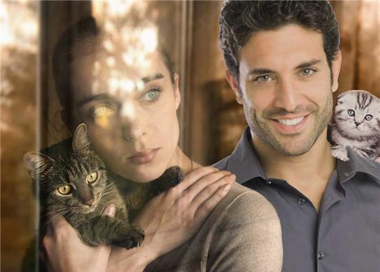 nhung dich vu quai dan nhat o my hinh anh 3