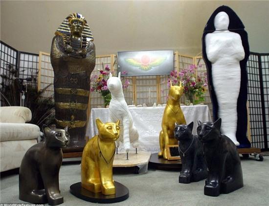 nhung dich vu quai dan nhat o my hinh anh 7