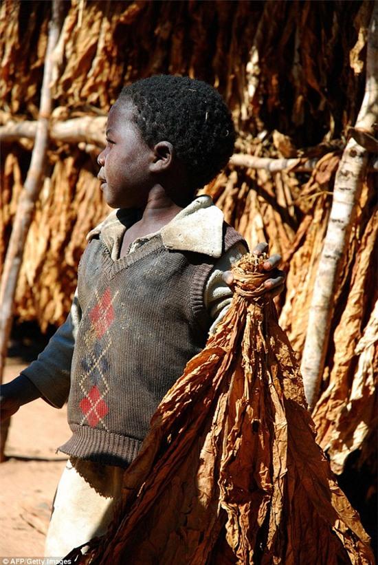 Sự thật gây sốc đằng sau cách làm giàu của tỷ phú trẻ nhất thế giới - Ảnh 3.