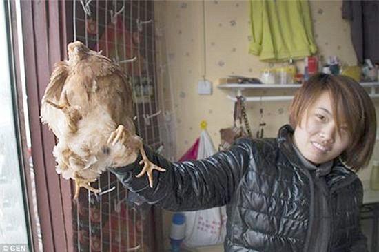 phat hien ga co 4 chan ky la o trung quoc hinh anh 1