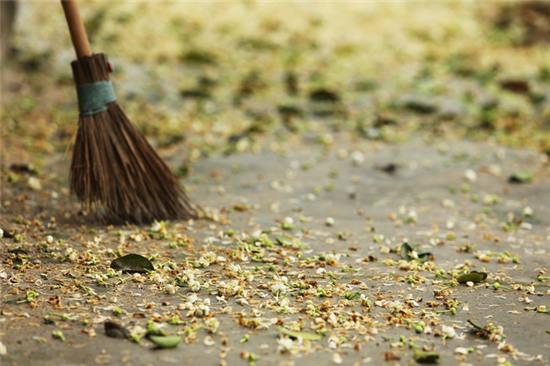 Hương bưởi tháng 3 ngào ngạt khắp phố