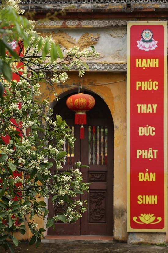 Hương bưởi tháng 3 ngào ngạt khắp phố