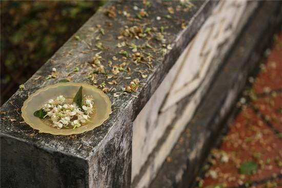 Hương bưởi tháng 3 ngào ngạt khắp phố