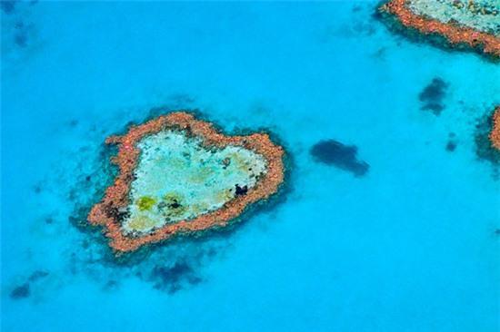 nhung-dia-danh-trai-tim-dang-yeu-khap-the-gioi