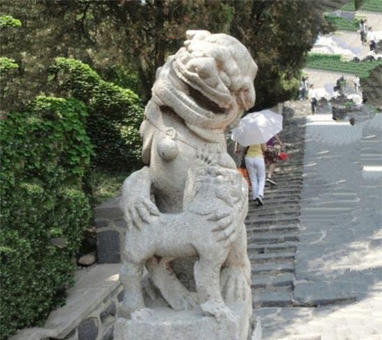 Chết cười với 13 chú sư tử oai hùng phiên bản lỗi