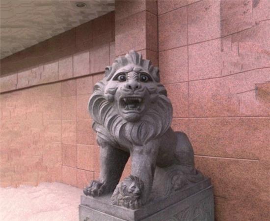 Chết cười với 13 chú sư tử oai hùng phiên bản lỗi