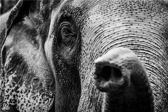 Những bức ảnh lôi cuốn du khách tới Thái Lan