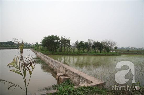 Bé gái khoảng 9 tháng tuổi, bụ bẫm bị bỏ rơi ở chùa