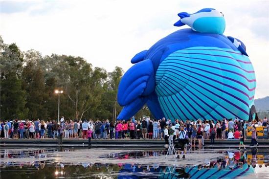 Đại sứ Việt Nam tại Australia chia sẻ hình ảnh Canberra Day