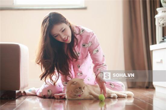 Cả Ngọc Phượng và Mai Phương Thúy đều rất yêu mèo. Khi liên lạc với em gái, Mai Phương Thúy không quên hỏi về chú mèo mũm mĩm này.