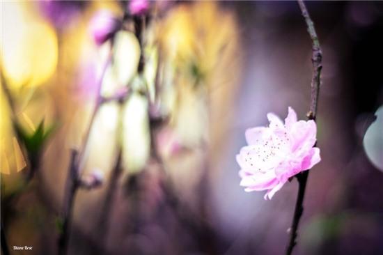 Những bức ảnh khiến khách Tây phải lòng Việt Nam