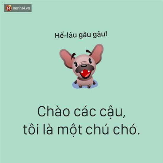 Tâm sự đầy đau khổ của một chú chó - Ảnh 1.